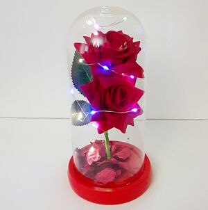Valentine's Gift For Her Beauty and The Beast Red Rose LED Glass Dome Decor